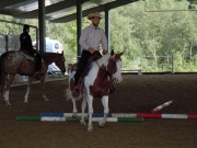Henau_2010