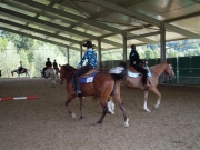 Henau_2010