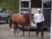 Henau_2010
