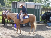 Henau_2010