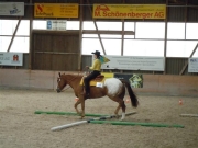 Henau_2010