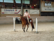 Henau_2010