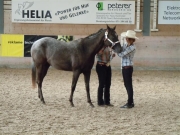 Henau_2010