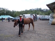 Henau_2010