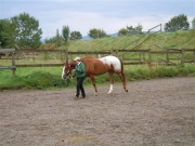 Henau_2010