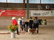 Henau_2010
