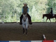 Henau_2010