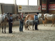 Henau_2010