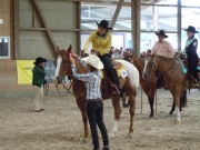 Henau_2010