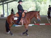 Henau_2010