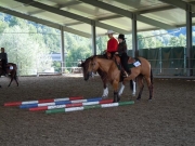 Henau_2010