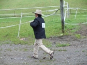 Henau_2010