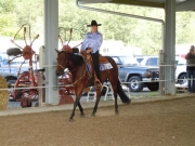 Henau_2010