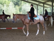 Henau_2010