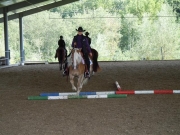 Henau_2010