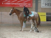 Henau_2010