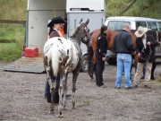 Henau_2010