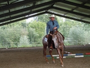 Henau_2010