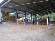 Henau_2010