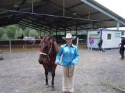 Henau_2010
