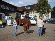 Henau_2010