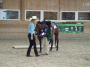 Henau_2010