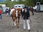 Henau_2010
