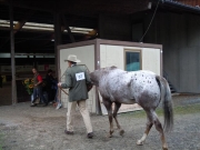 Henau_2010