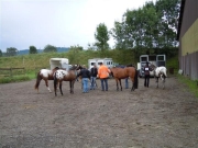 Henau_2010