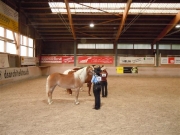 Henau_2010