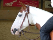 Henau_2010