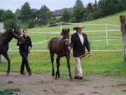 Henau_2010