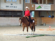 Henau_2010
