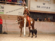 Henau_2010