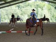 Henau_2010