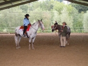 Henau_2010
