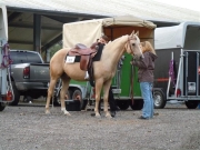 Henau_2010