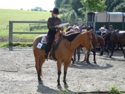 Henau_2010