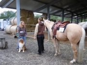 Henau_2010
