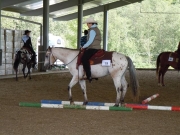 Henau_2010