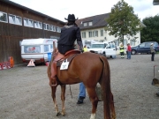 Henau_2010