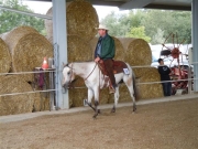 Henau_2010