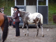 Henau_2010