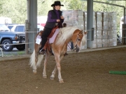 Henau_2010