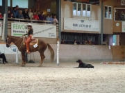Henau_2010