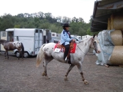 Henau_2010
