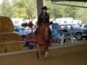 Henau_2010