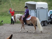 Henau_2010