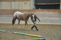 Hunter_Kurs_2016
