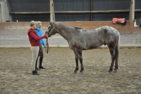 Hunter_Kurs_2016